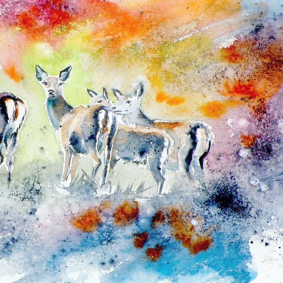 Deer on the field