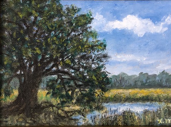 MARSH OAK - oil 5X7 (SOLD)