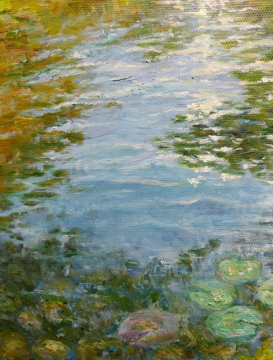 Where the Light settles