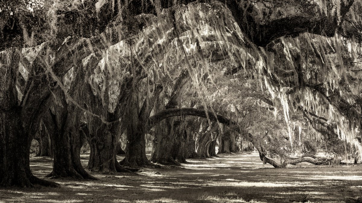 PASSAGES THROUGH TIME I by Harv Greenberg