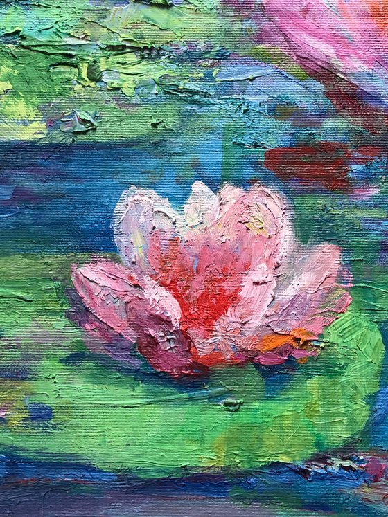 Water lilies.