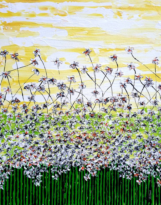 Daisy magic meadow 1