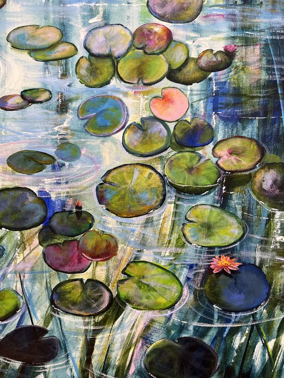 Water Lilies At Sunset 7