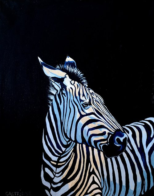 Melody of a Blue Zebra by Alison Caltrider