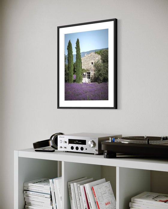 THE BEAUTIFUL FRENCH HOUSE