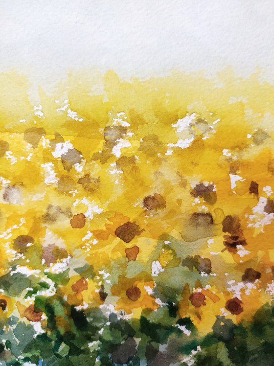 Painterly Sunflower fields