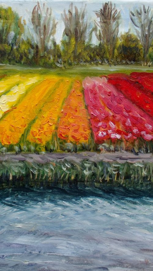 Tulip fields 2018 by Elena Sokolova