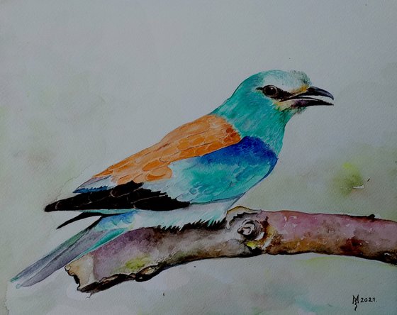BIRD