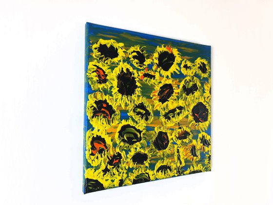 Blooming sunflowers 5