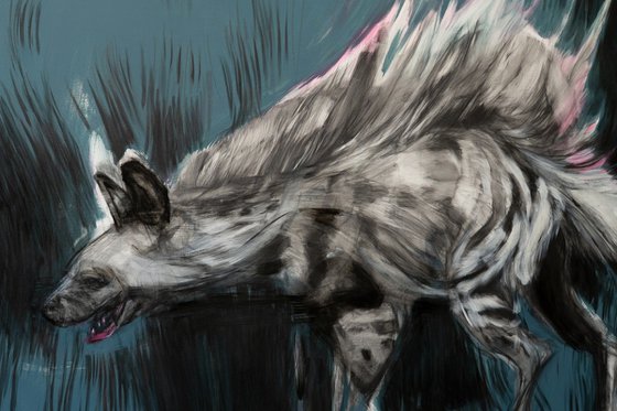 Burning hyena