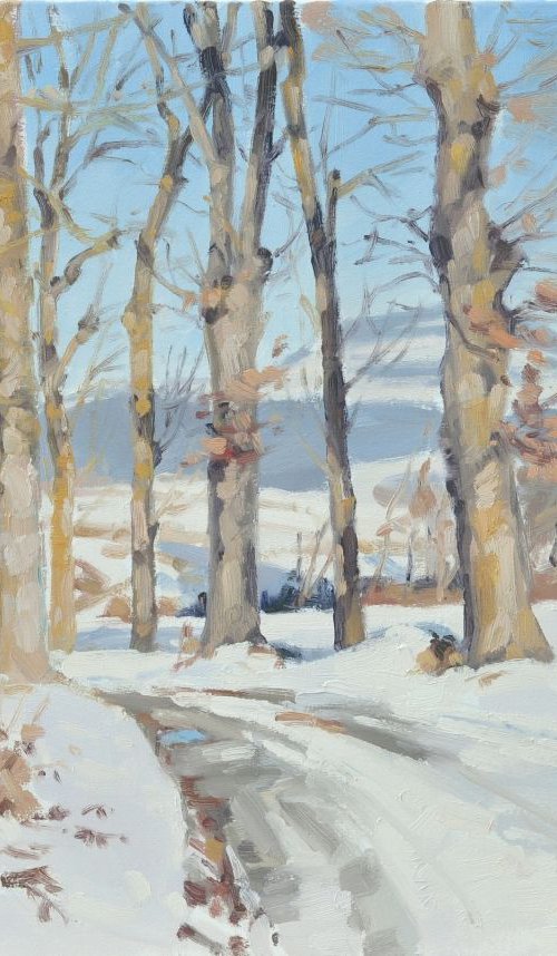 January 22, St Vincent, snow by ANNE BAUDEQUIN