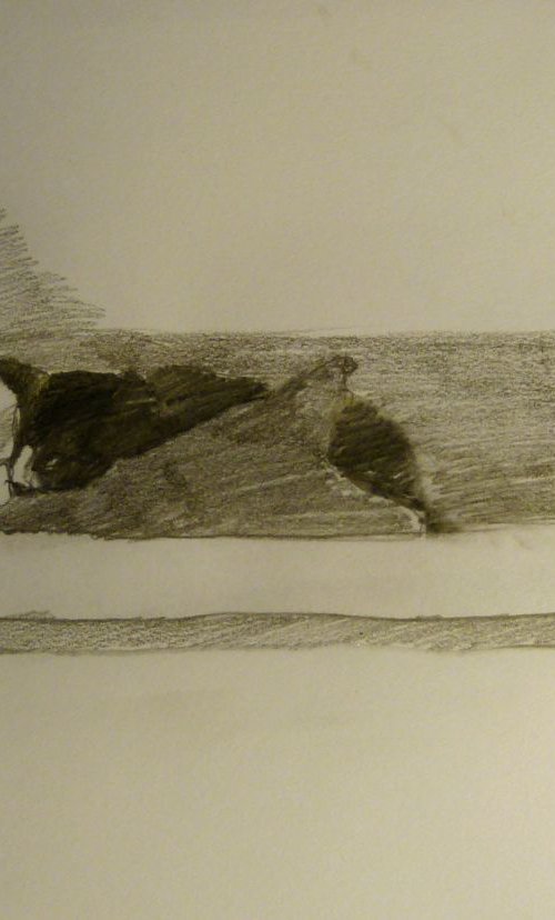 Mimi the cat in the mezzanine, life drawing 21x15 cm by Frederic Belaubre