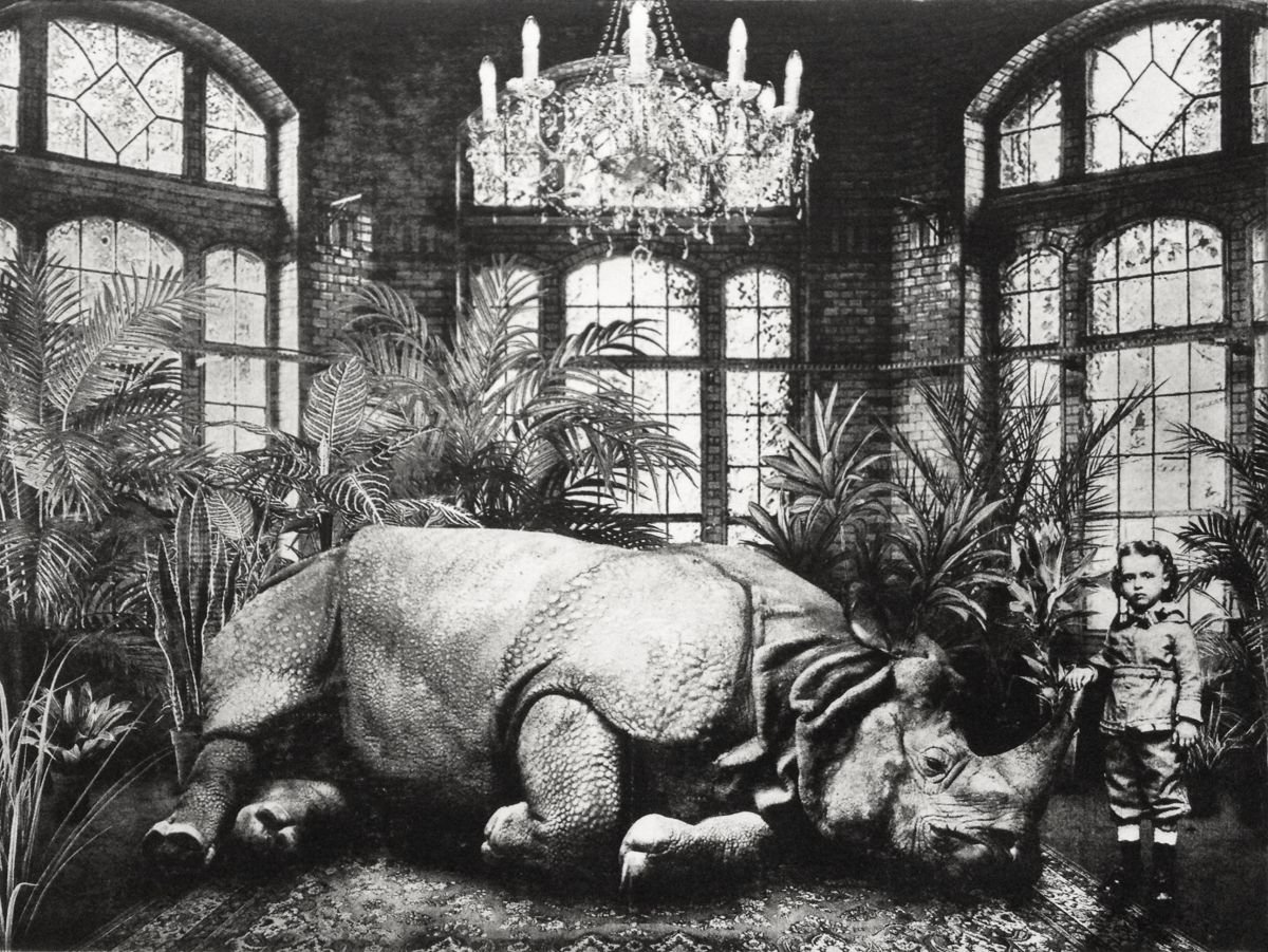Surrealistic Animal Etchings & Engravings By Jaco Putker, 13 X 10, Interior No.22, Original Artwork