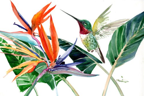 Hummingbird and Birds of Paradise Flowers by Suren Nersisyan