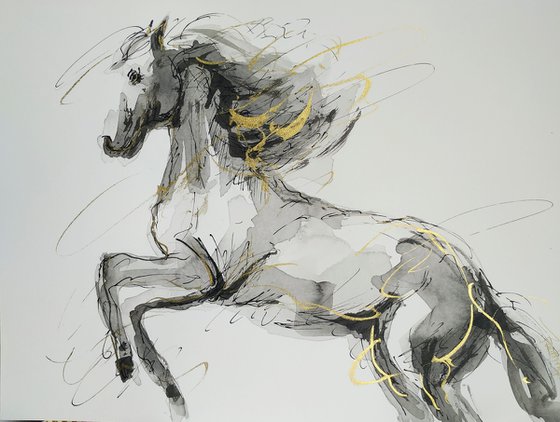 Horse  ink drawing series-Horse drawing on paper