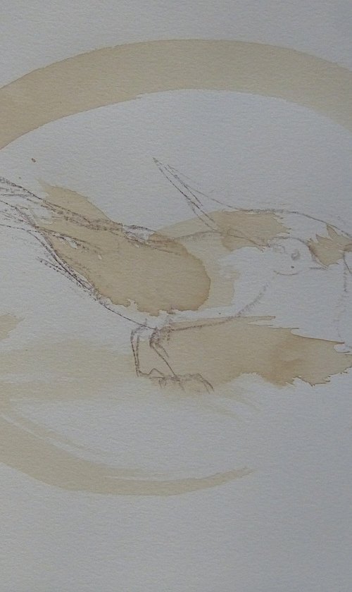 Little birds by Frederic Belaubre