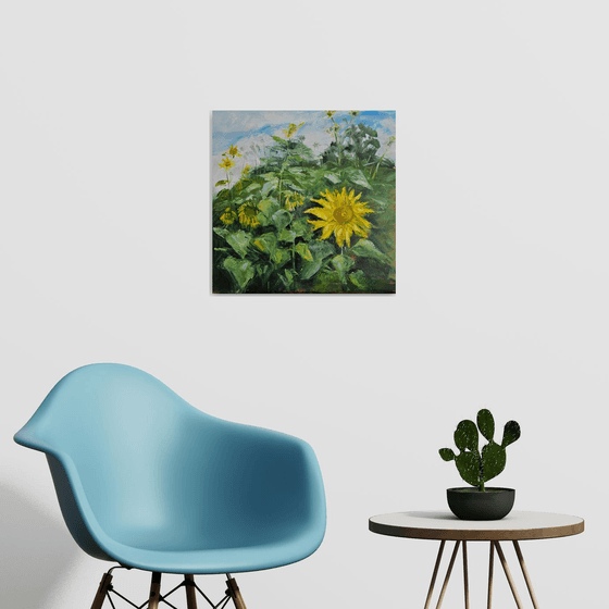 Sunflower