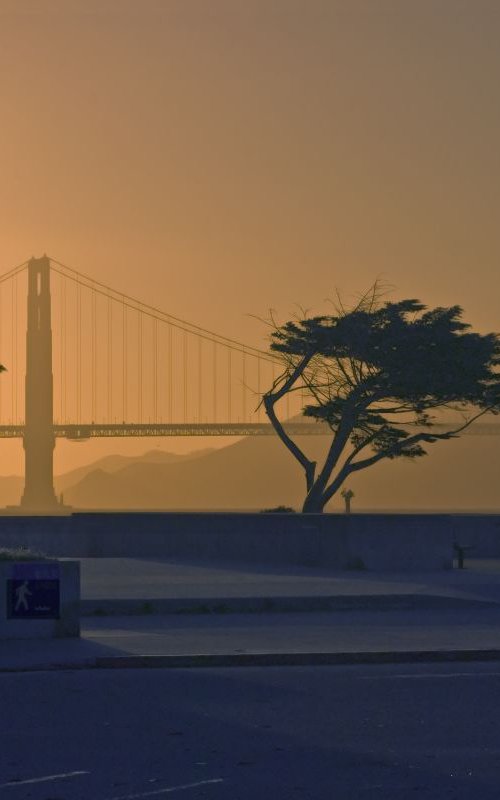 Golden Golden Gate by Eugene Norris