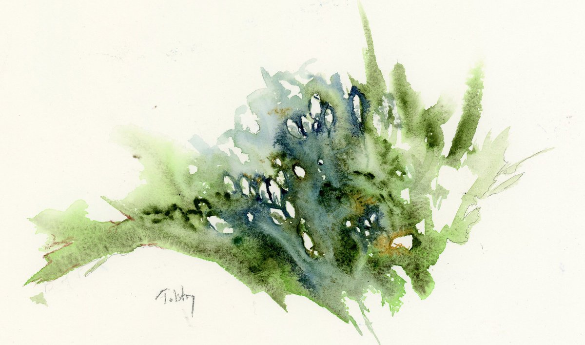 Spray of white and green by Alex Tolstoy
