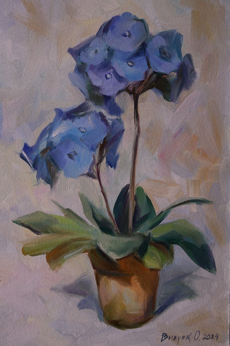 Flower in a pot by Lena Vylusk