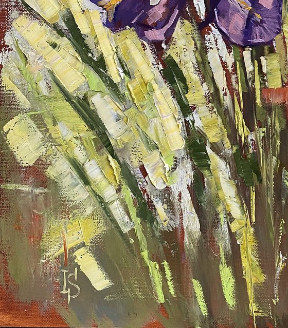 Sunny Irises