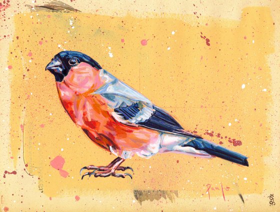 Bullfinch