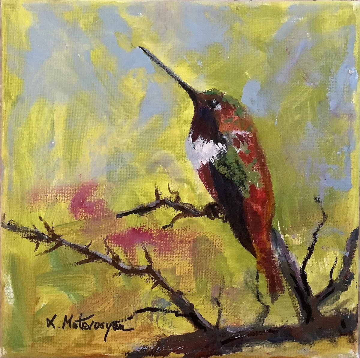 Hummingbird By Lia Matevosyan Haselton, 8 X 8, Artwork For Sale On Artfinder