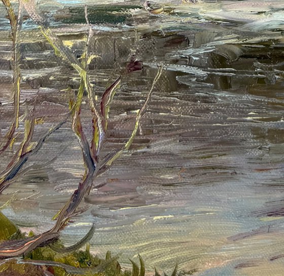 Early Spring Rapids