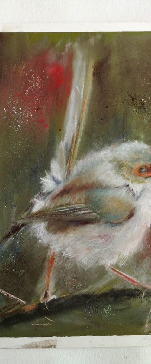 Wren on the branch  (pastel) by Olga Tchefranov (Shefranov)