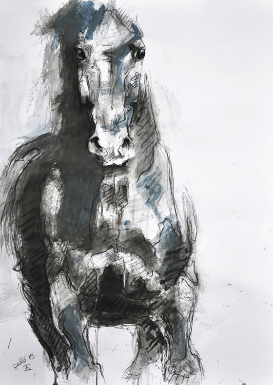 Equine Nude 2p