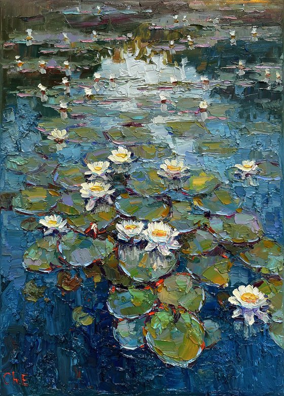"Water lilies flowers"
