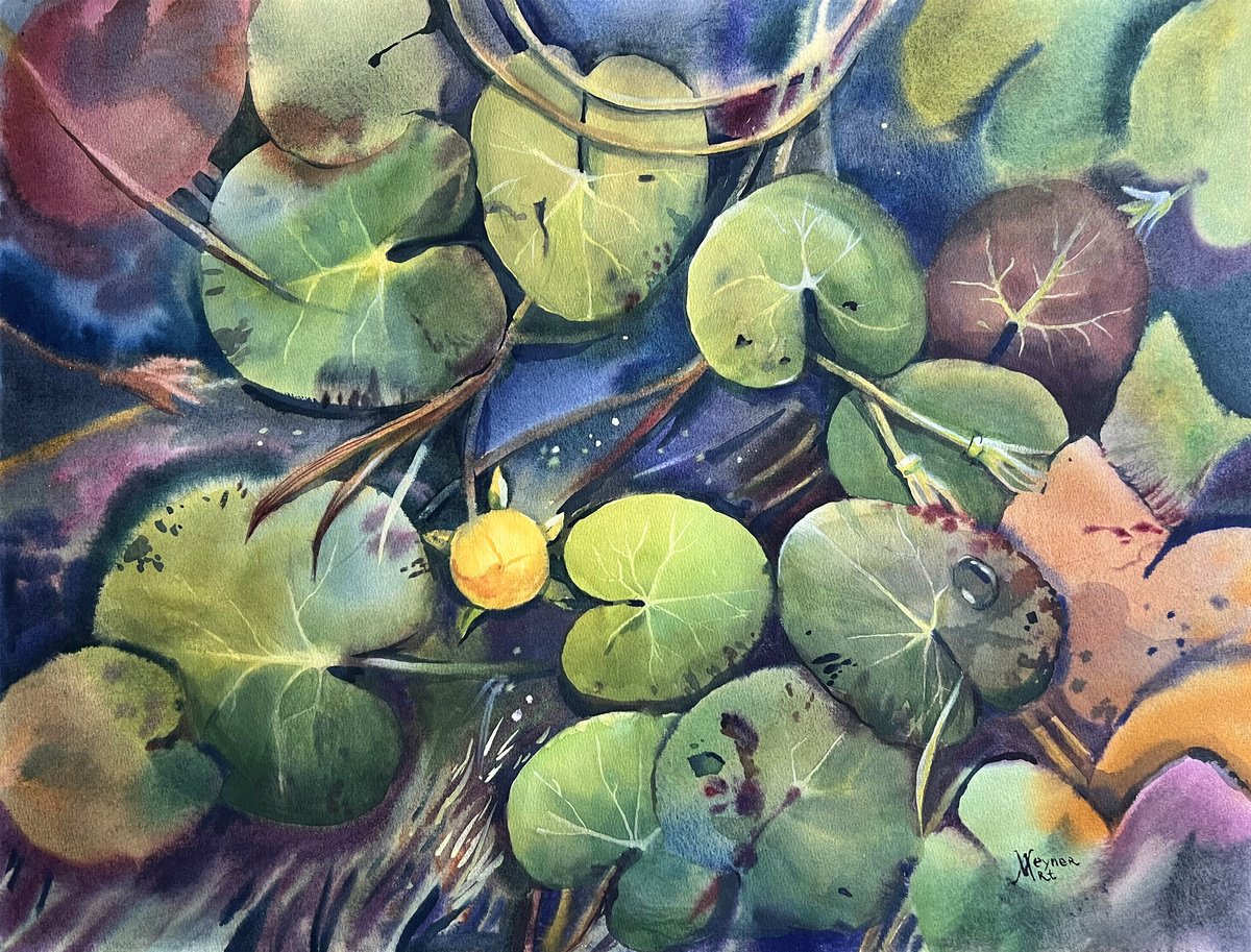 Pond with water lilies by Natalia Veyner