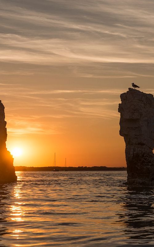 OLD HARRY ROCKS 3. by Andrew Lever