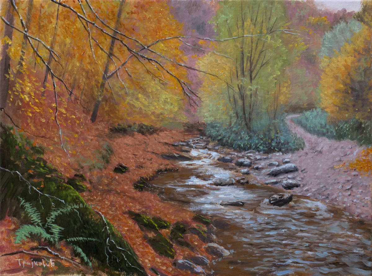 Impressionistic Landscape Oil Painting By Dejan Trajkovic, 20 X 16, Free Flow, Original Artwork