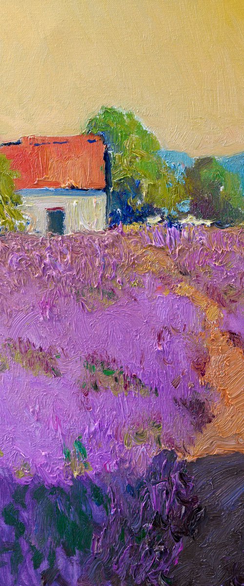 Lavender Field, Evening Light by Suren Nersisyan