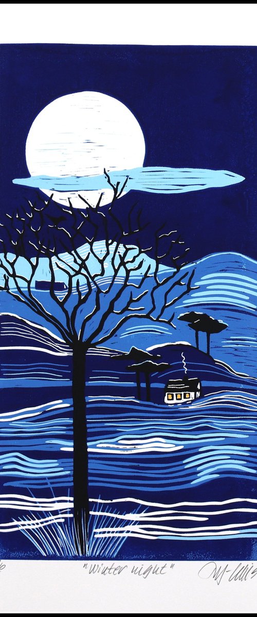 Winter Night by Mariann Johansen-Ellis