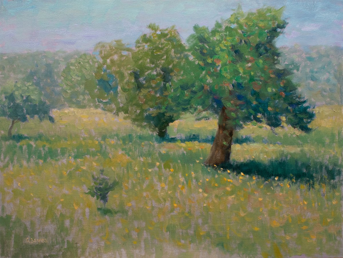 Impressionism Wild apple Trees in a field by Gav Banns