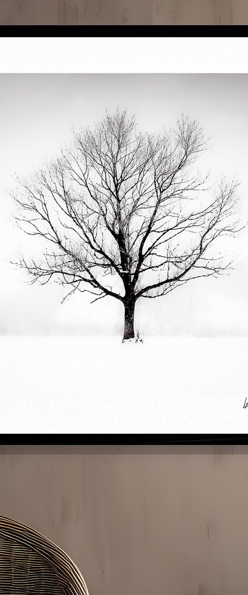 Solitude in White by Lynne Douglas