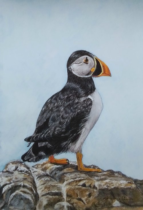 Puffin by Maureen  Crofts