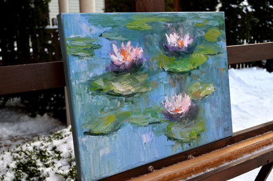 Water lilies