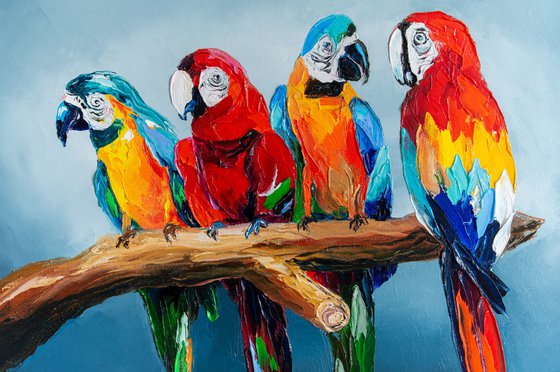 Company of parrots