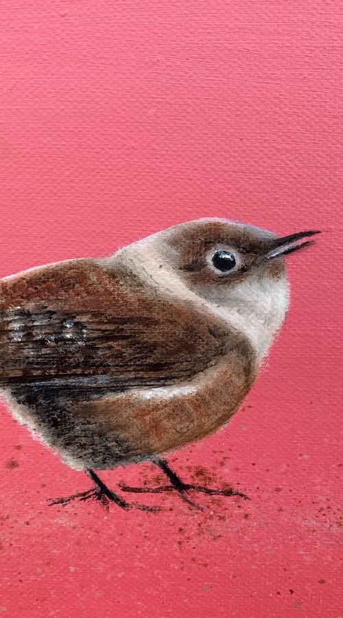 Wren on Rose Gold by Laure Bury