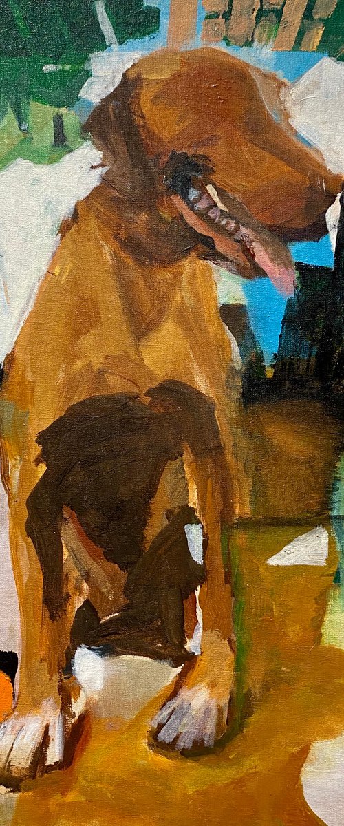 Mondo cane by Patricia Chueke