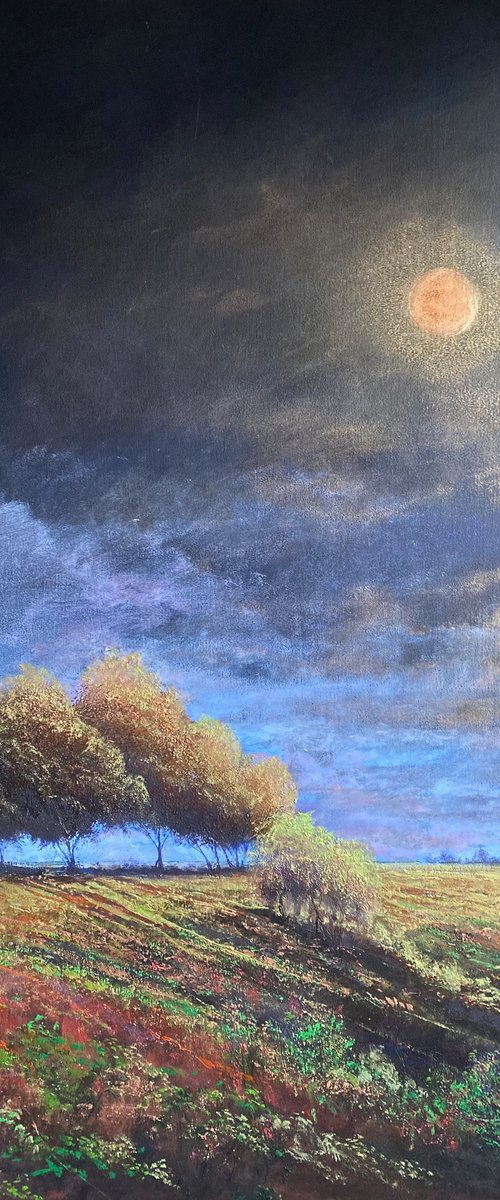 Southfield Copse by Simon Jones
