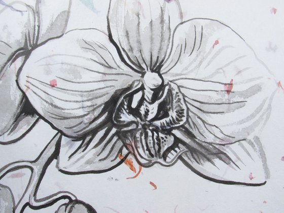orchid ink drawing on hand made flower paper