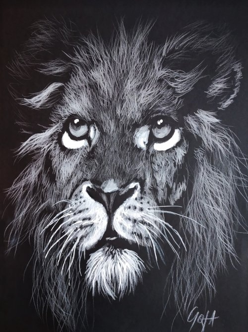 LION by Nicolas GOIA