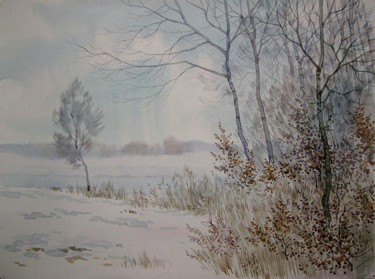 It snowed by Valeriy Savenets-1