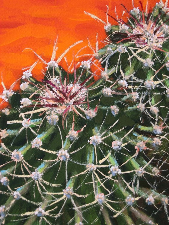 Cactus against an Orange background