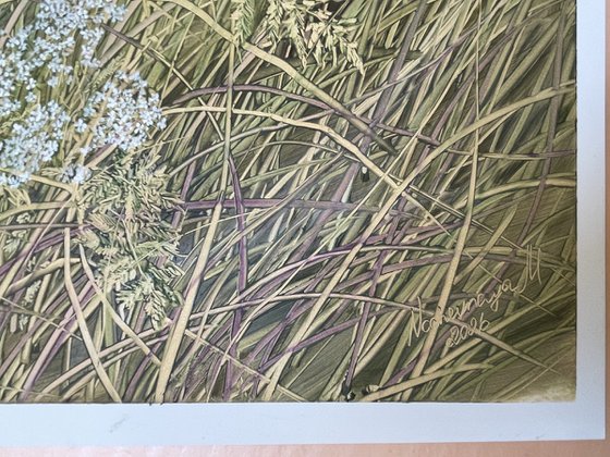 Among the Grasses