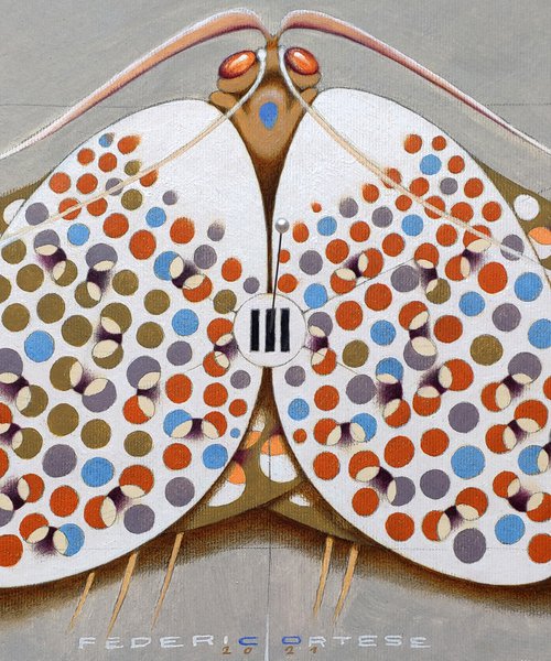 Chromatic butterfly - white by Federico Cortese